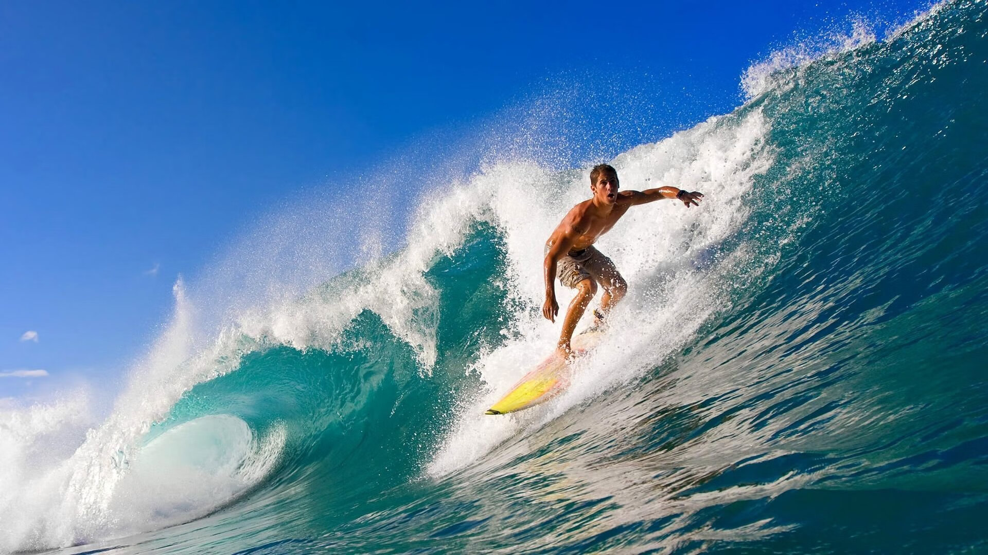 电竞直播平台创新互动模式，粉丝参与度创历史新高，电竞直播室